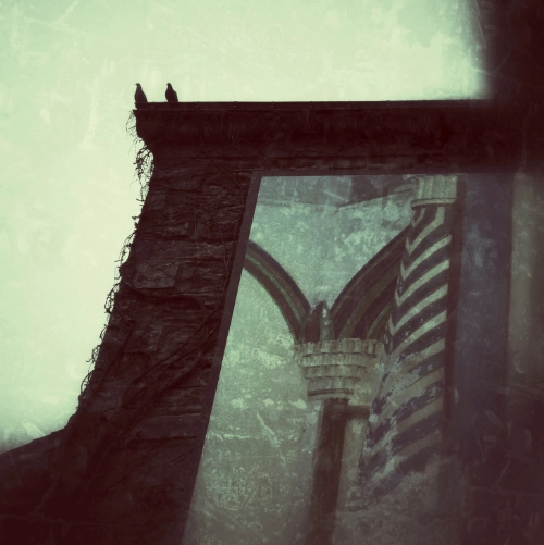 oiseaux colonne